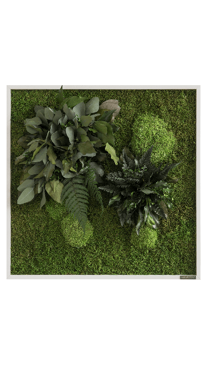 Plant Island Fringe 55 × 55 Cms
